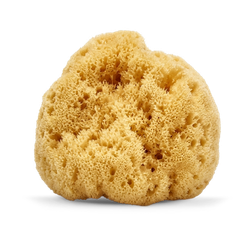 SpongeBox SilkGlow Gentle Body & Bath Natural Sea Sponge 4-4.5 Inches