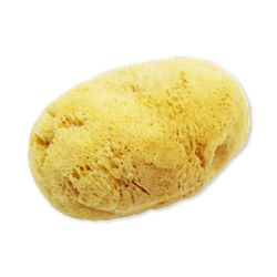 SpongeBox SilkGlow Gentle Body & Bath Natural Sea Sponge 5-5.5 Inches