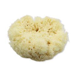 SpongeBox Deep Sea Luxe Body & Bath Natural Sea Sponge 6-6.5 Inches