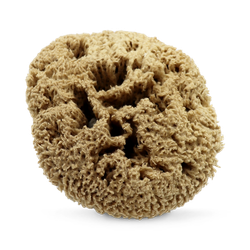SpongeBox Deep Sea Pure Luxury Body & Bath Natural Sea Sponge 6-6.5 Inches