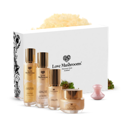 Love Mushrooms Collagen Truffle Gift Set