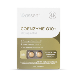 CoEnzyme Q10 - 30 Tablets