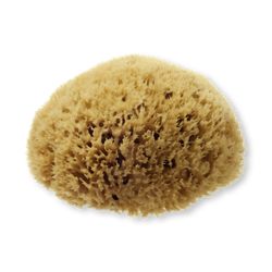 Natural Sea Sponge for Bathing - 4-4.5 inches