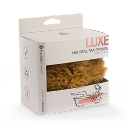 Natural Sea Sponge For Bathing 5.5 - 6 Inches