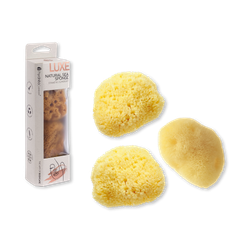 Cosmetic Sea Sponge Set of 3