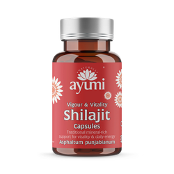 Shilajit Vegan Capsules, Natural Energy and Vitality | High Potency 60 Capsules