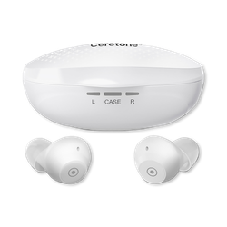 Ceretone Fusion In Ear Hearing Aids