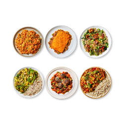 GLP-1 Friendly Meal Bundle Pack Of 6