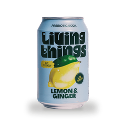 Living Things Lemon & Ginger 4x330ml