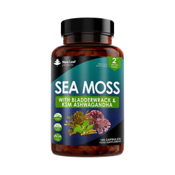 Irish Sea Moss Capsules with Bladderwrack & KSM Ashwagandha 120 Capsules