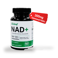 careleaf NAD+ Capsules 60 Capsules