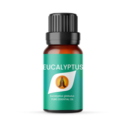 Eucalyptus Pure Essential Oil - 10ml
