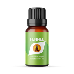 Fennel Pure Essential Oil - 10ml