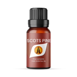 Scots Pine Pure Essential Oil - 10ml