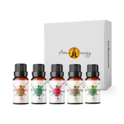 Christmas Time Fragrance Oil Set - 5 x 10ml Fragrances For Xmas Diffuser