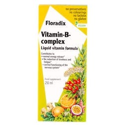 Floradix Vitamin B Complex Liquid 250ml