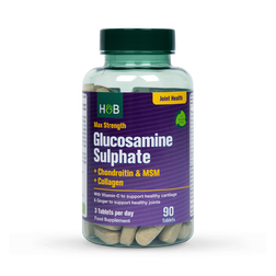 Holland & Barrett Max Strength Glucosamine & Chondroitin 90 Tablets