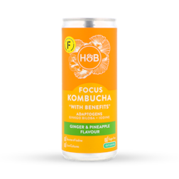 Holland & Barrett Focus Kombucha 250ml