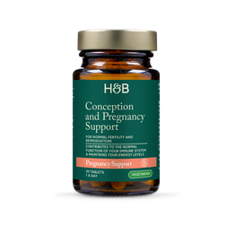 Holland & Barrett Conception & Pregnancy Support 30 Tablets