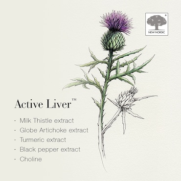 New Nordic Active Liver 60 Tablets image 4