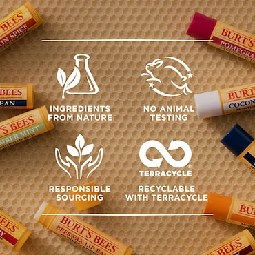 Burt's Bees Watermelon Lip Balm image 6