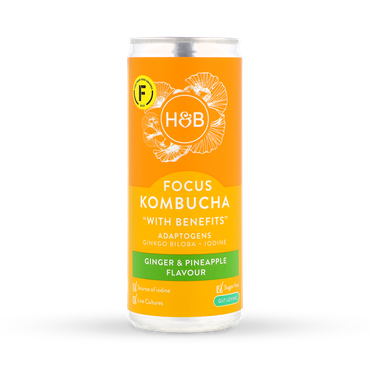 Holland & Barrett Focus Kombucha 250ml