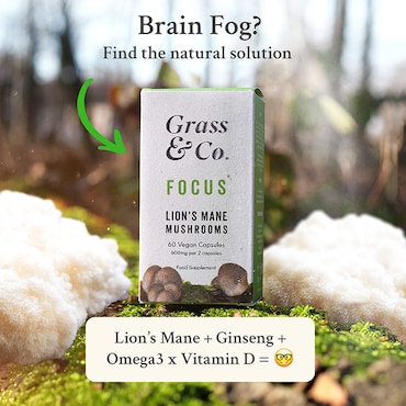 Grass & Co. FOCUS Lion's Mane Mushrooms with Ginseng + Omega-3 60 Vegan Capsules image 3
