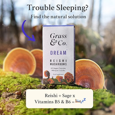 Grass & Co. DREAM Reishi Mushrooms with Magnesium + Sage, 60 Vegan Capsules image 4