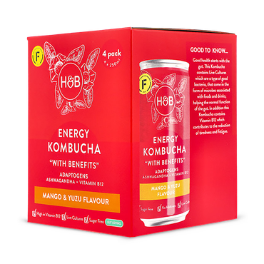 Holland & Barrett Energy Kombucha 4x 250ml