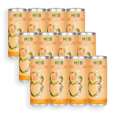 Review of Holland & Barrett Energy Kombucha 12 x 250ml