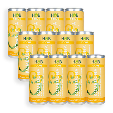 Review of Holland & Barrett Focus Kombucha 12 x 250ml