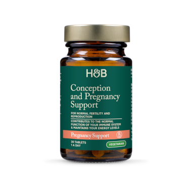 Holland & Barrett Conception & Pregnancy Support 30 Tablets