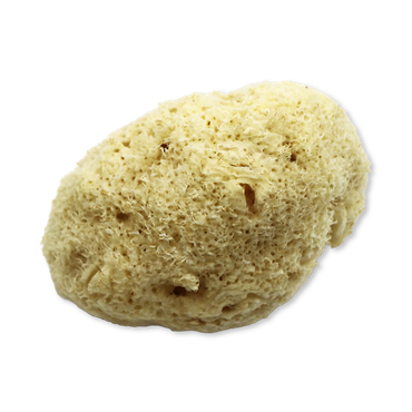 Review of SpongeBox Natures Touch Sheep Wool Gentle Body & Bath Natural Sea Sponge 5-5.5 Inches