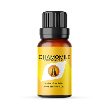 Review of Chamomile Dilute Essential Oil - 10ml