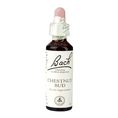 Bach Original Flower Remedies Chestnut Bud 20ml