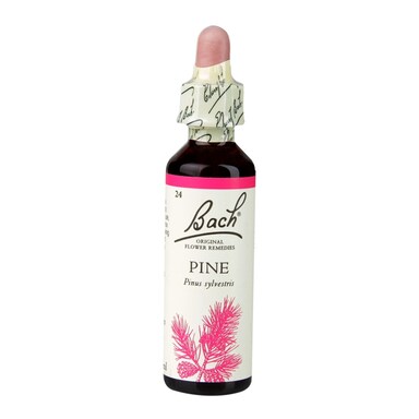 Bach Original Flower Remedies Pine 20ml
