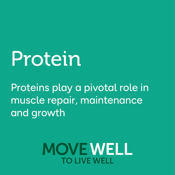 PhD Nutrition PhD Protein Bars & Powders Holland & Barrett