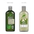 Dr Organic Hemp 2 in 1 Shampoo 265ml image 3