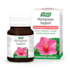 A Vogel Menopause Support 60 Tablets image 2