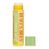 Burt's Bees Cucumber Mint Lip Balm 4.25g image 1