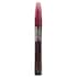 Burt’s Bees Crimson Breeze Tinted Lip Oil 1.1ml image 1