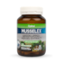 Musselex Green Lipped Mussel Extract 90 Tablets image 1