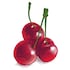 Burt's Bees Wild Cherry Lip Balm 4.25g image 3
