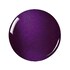 Zoya Yasmeen 15ml image 2
