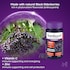 Sambucol Immuno Forte Black Elderberry 30 Gummies image 3