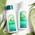 Jason Aloe Vera + Prickly Pear Conditioner 473ml image 3