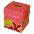 Pacifica Soy Candle Ruby Guava image 1