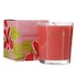 Pacifica Soy Candle Ruby Guava image 2