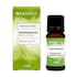 Miaroma Peppermint Pure Essential Oil 10ml image 1
