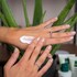 Holland & Barrett Aloe and Cucumber Cleansing Lotion image 3